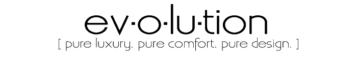 Logo : ev-o-lu-tion